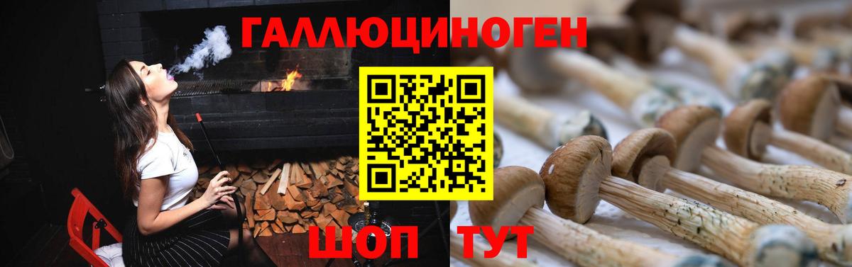 Псилоцибиновые грибы MAGIC MUSHROOMS  Псилоцибиновые грибы Psilocybe  Ипатово  Вход с VPN 